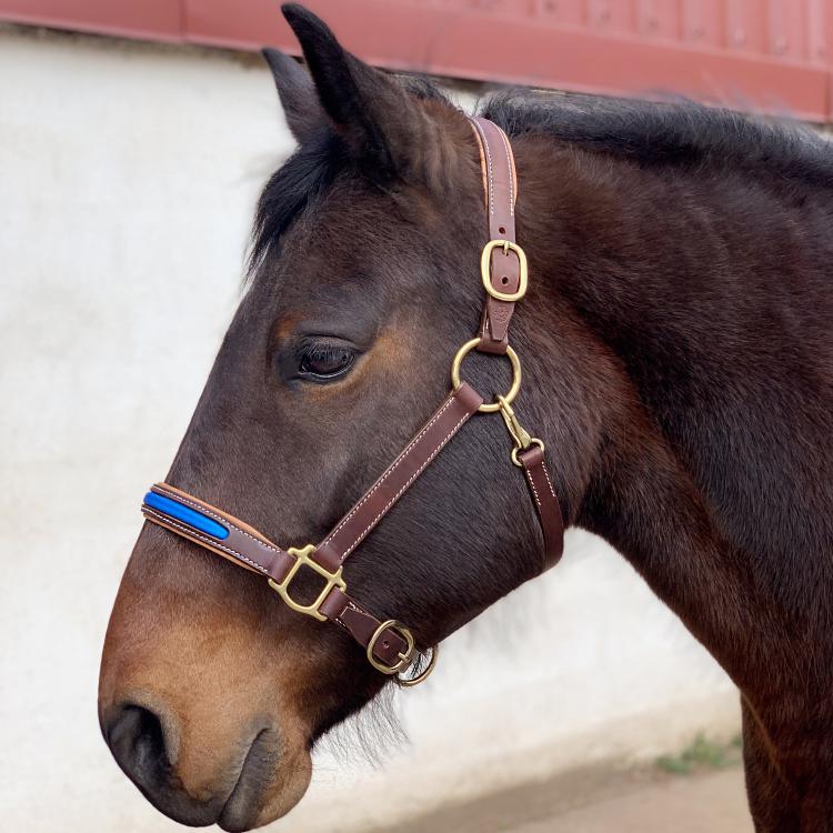 CABON SELLIER | Artisan sellier - Cuir / Equitation