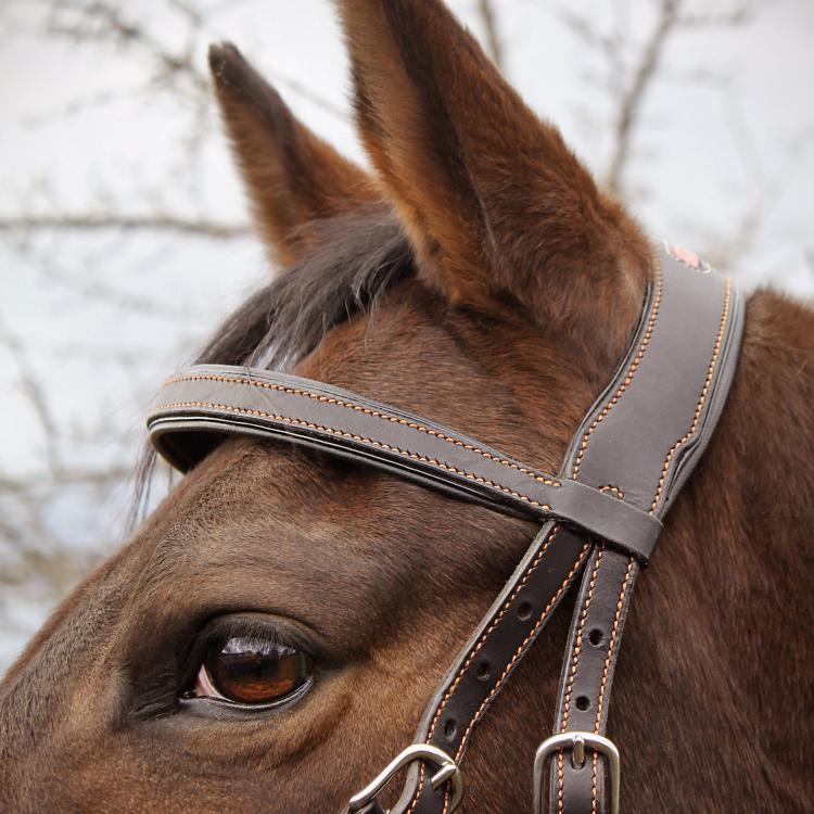 CABON SELLIER | Artisan sellier - Bride / Equitation