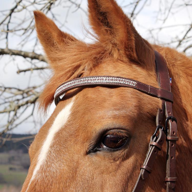 CABON SELLIER | Artisan sellier - Original / Equitation