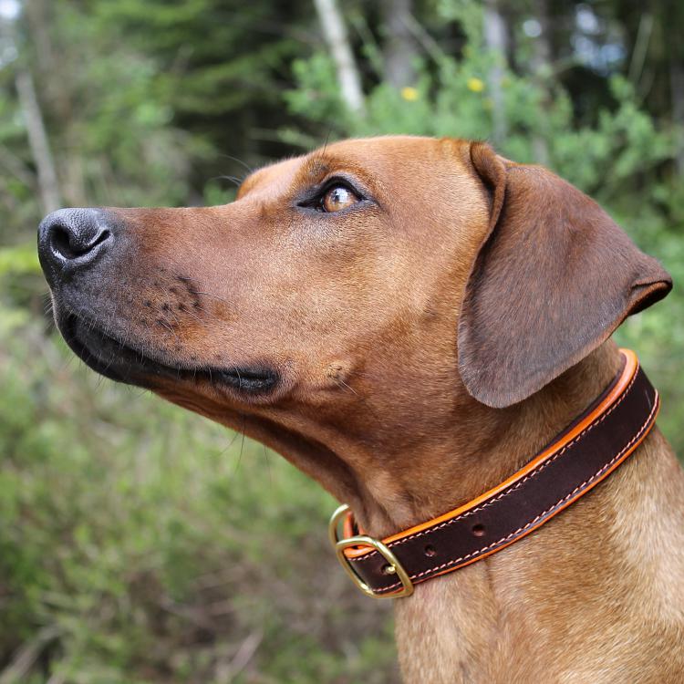 CABON SELLIER | Artisan sellier - Cuir / Accessoires